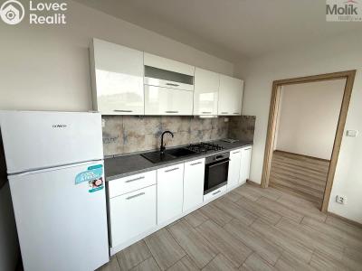 Rent apartment 3+1 Most, M. G. Dobnera č. 3