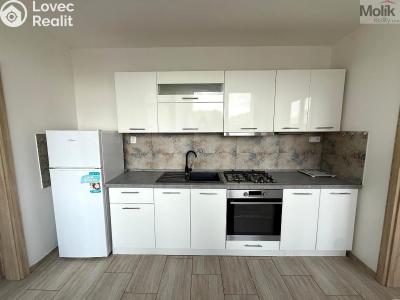 Rent apartment 3+1 Most, M. G. Dobnera č. 4