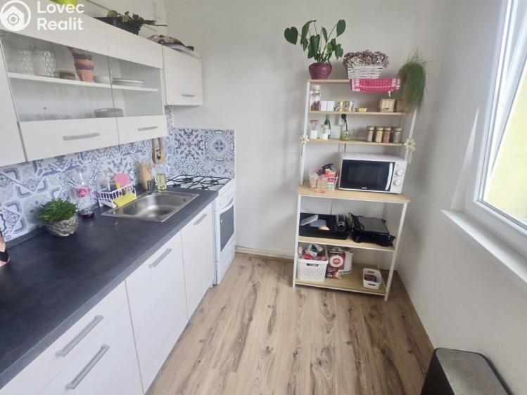 Rent apartment 1+1 Chodov, Vítězná č. 4