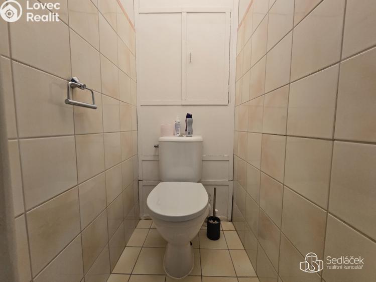 Rent apartment 1+1 Chodov, Vítězná č. 10