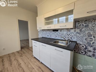 Rent apartment 1+1 Chodov, Vítězná č. 1