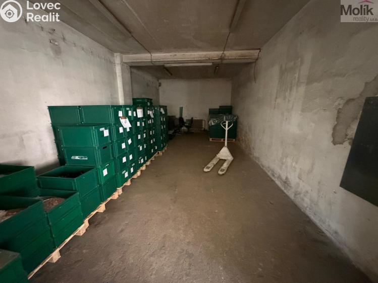 Аренда производственного цеха Bílina, Sadová č. 22