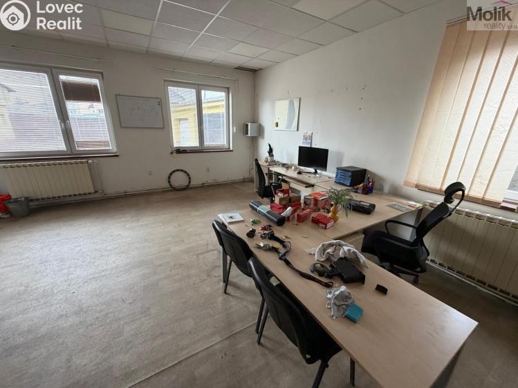 Rent commercial space Bílina, Sadová č. 7