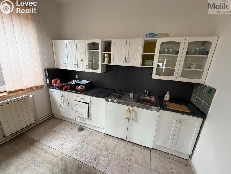 Rent commercial space Bílina, Sadová č. 9