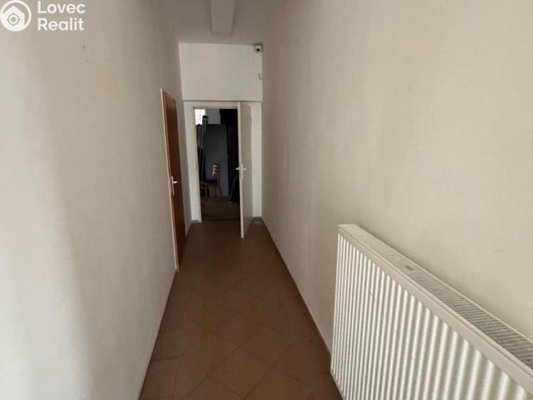 Rent commercial space Bílina, Sadová č. 11