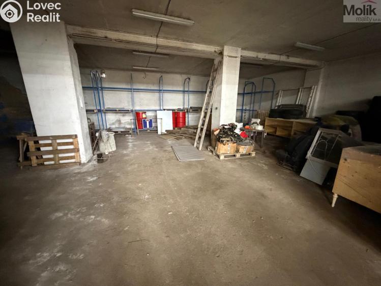 Rent commercial space Bílina, Sadová č. 21