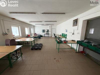 Rent commercial space Bílina, Sadová č. 6