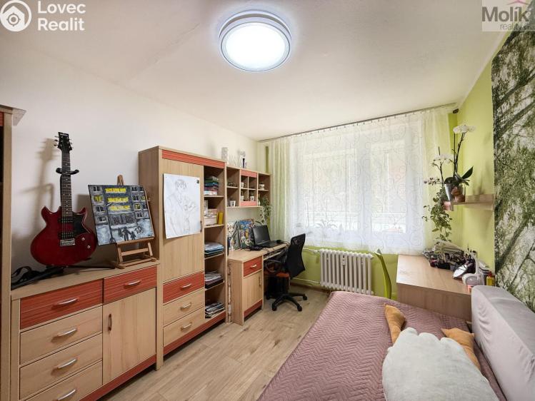 Prodej bytu 3+1 Krupka, Dukelských hrdinů č. 8