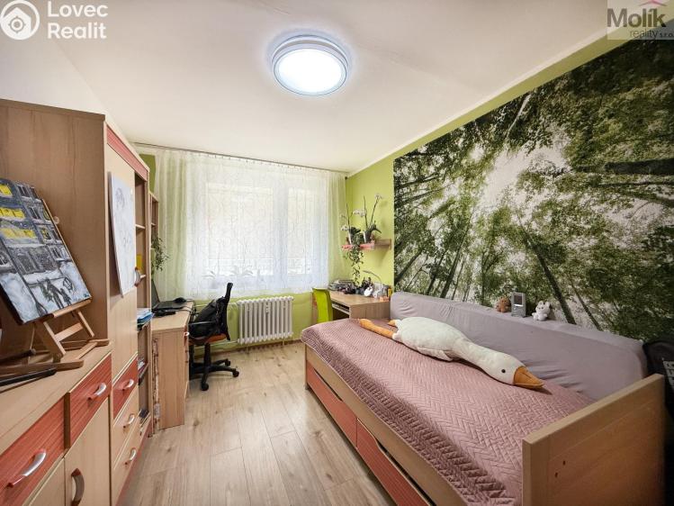 Prodej bytu 3+1 Krupka, Dukelských hrdinů č. 9