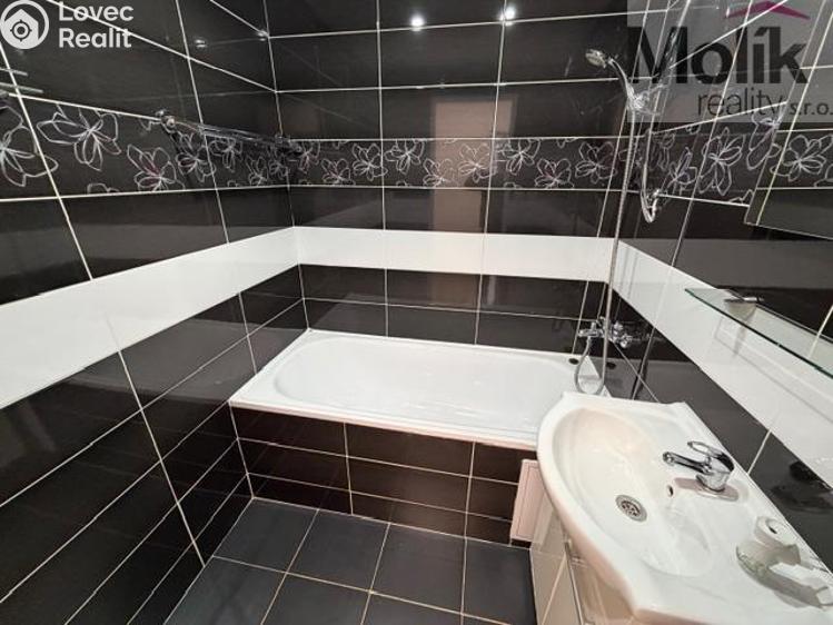 Rent apartment 3+1 Most, Česká č. 7