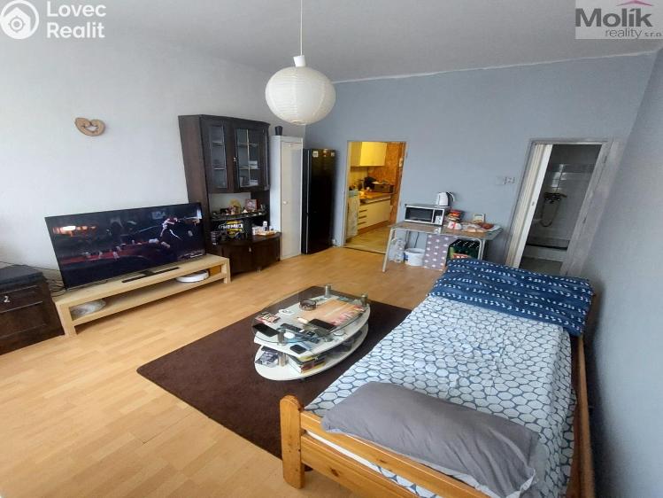 Prodej bytu 1+1 Litvínov, Koldům č. 1