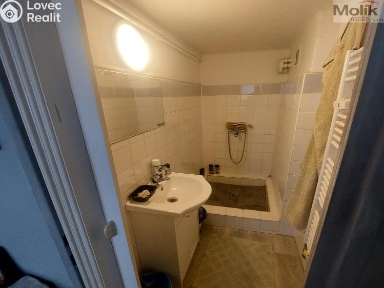 Prodej bytu 1+1 Litvínov, Koldům č. 5