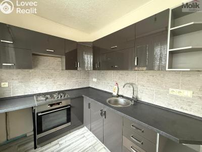 Rent apartment 3+1 Chomutov, Jirkovská č. 2