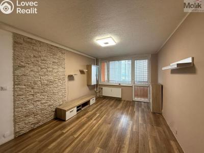 Rent apartment 3+1 Chomutov, Jirkovská č. 4