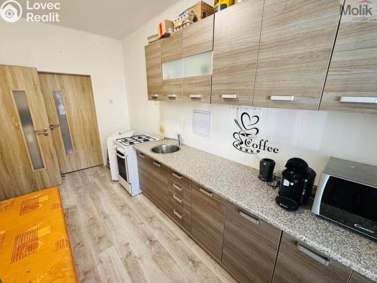 Prodej bytu 1+1 Most, Josefa Skupy č. 1