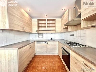 Rent apartment 3+1 Teplice, Doubravická č. 2