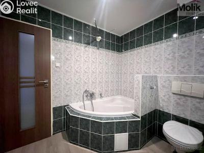 Rent apartment 3+1 Teplice, Doubravická č. 6