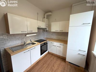 Rent apartment 2+1 Most, Jožky Jabůrkové č. 1