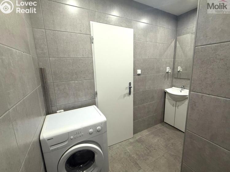 Rent apartment 1+1 Litvínov, Tylova č. 10