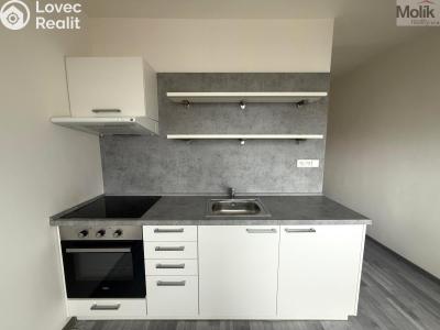 Rent apartment 1+1 Litvínov, Tylova č. 1