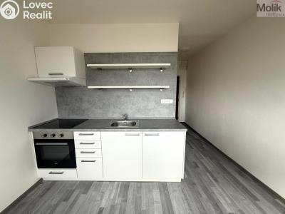 Rent apartment 1+1 Litvínov, Tylova č. 2