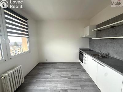 Rent apartment 1+1 Litvínov, Tylova č. 3