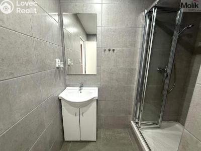 Rent apartment 1+1 Litvínov, Tylova č. 4