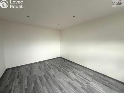 Rent apartment 1+1 Litvínov, Tylova č. 6