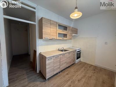 Rent apartment 1+1 Most, Vítězslava Nezvala č. 1