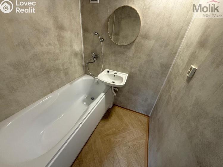Rent apartment 2+1 Bílina, Sídliště Za Chlumem č. 12