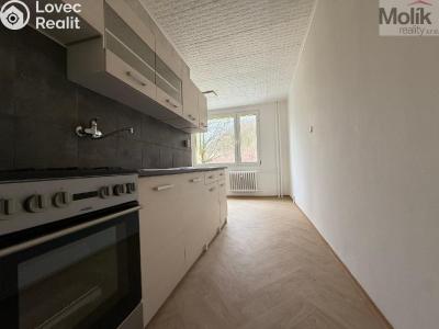 Rent apartment 2+1 Bílina, Sídliště Za Chlumem č. 2