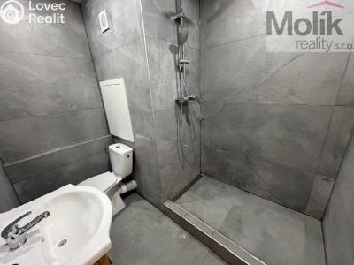 Rent apartment 2+KK Most, Komořanská č. 6