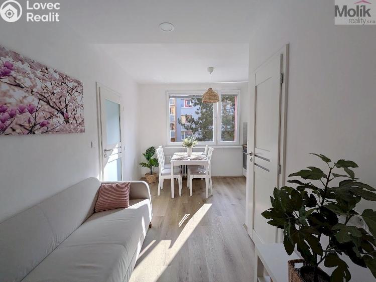 Pronájem bytu 2+KK Duchcov, V Domkách 1326/56 č. 1