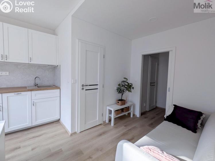 Pronájem bytu 2+KK Duchcov, V Domkách 1326/56 č. 8