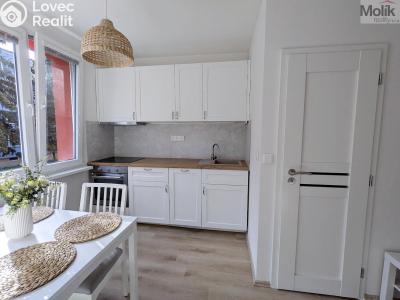 Pronájem bytu 2+KK Duchcov, V Domkách č. 4