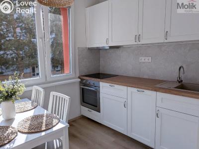 Pronájem bytu 2+KK Duchcov, V Domkách č. 5