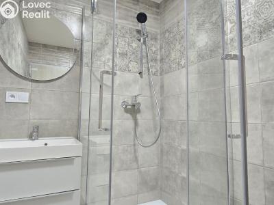 Prodej bytu 3+1 Litvínov, Na Kopci č. 4