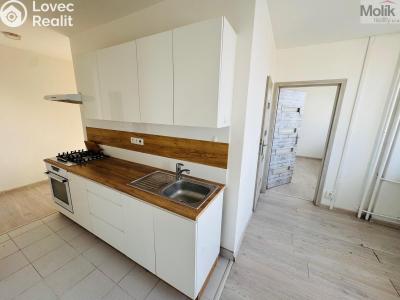 Pronájem bytu 3+1 Most, M. G. Dobnera č. 2