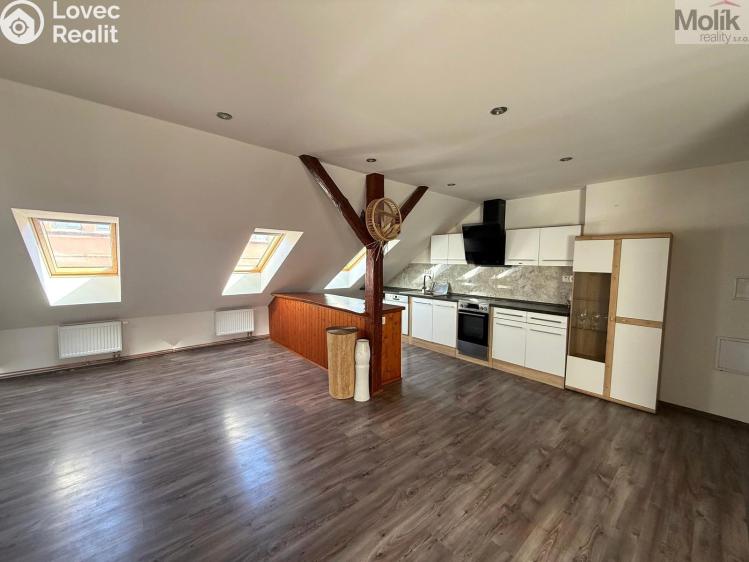 Pronájem bytu 3+KK Teplice, Thámova č. 1