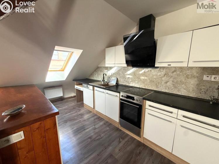 Pronájem bytu 3+KK Teplice, Thámova č. 3