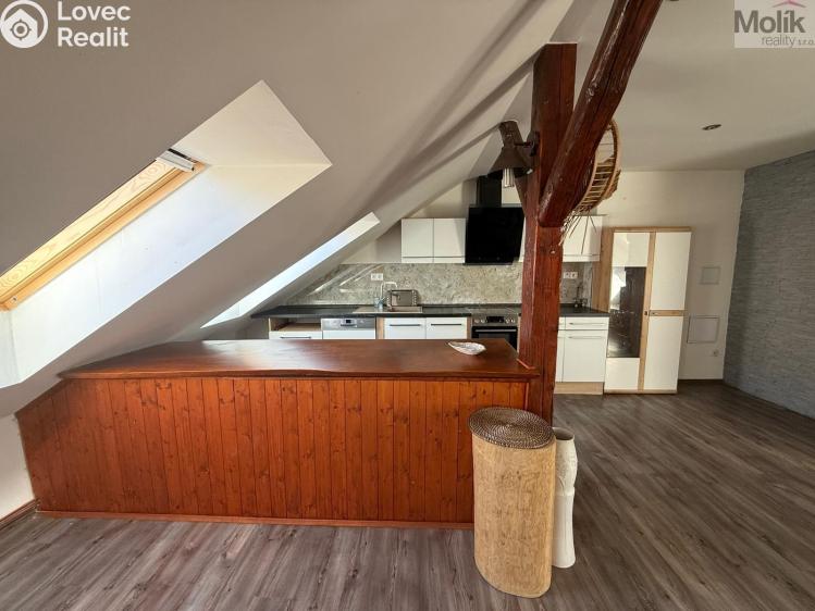 Pronájem bytu 3+KK Teplice, Thámova č. 6