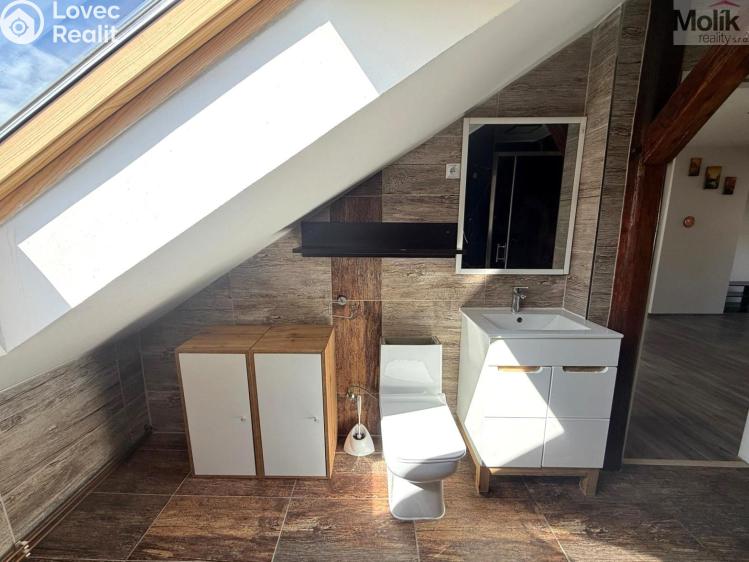 Pronájem bytu 3+KK Teplice, Thámova č. 11