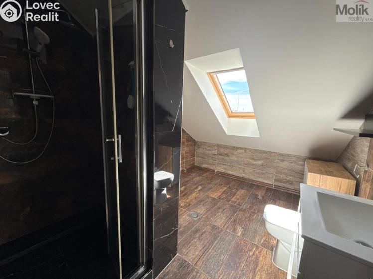 Pronájem bytu 3+KK Teplice, Thámova č. 12