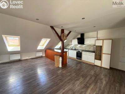 Pronájem bytu 3+KK Teplice, Thámova č. 1