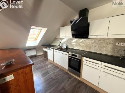 Pronájem bytu 3+KK Teplice, Thámova č. 3