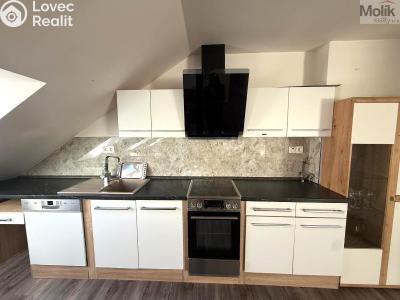 Pronájem bytu 3+KK Teplice, Thámova č. 5