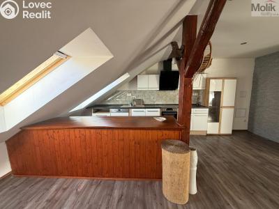 Pronájem bytu 3+KK Teplice, Thámova č. 6