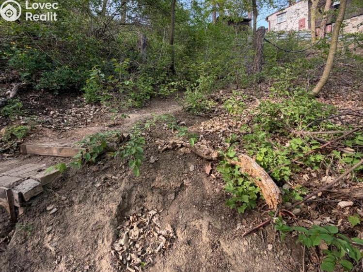 Prodej chaty Klášterec nad Ohří, Mariánské údolí č. 26