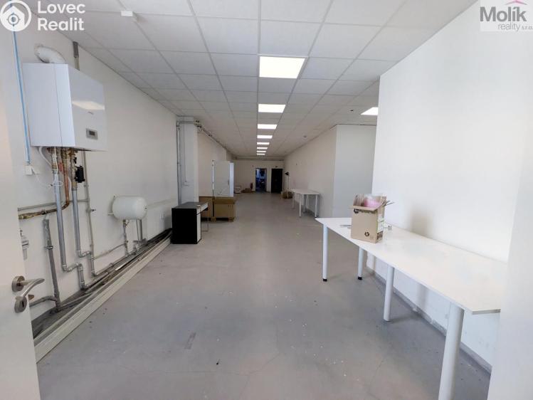 Rent production hall Teplice, Pražská 3259 č. 12