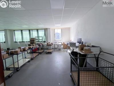 Rent production hall Teplice, Pražská 3259 č. 6